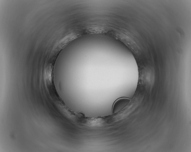 X0000115500334200911061332