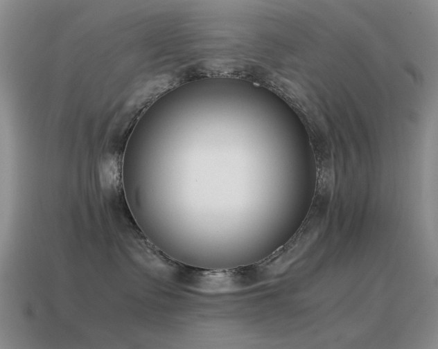 X0000115500335200911061332