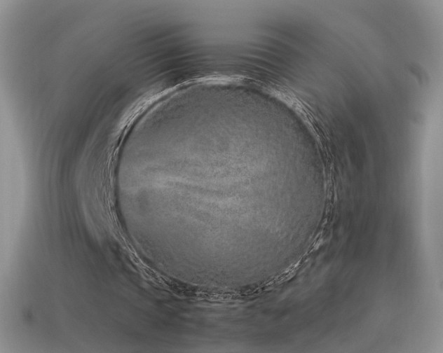 X0000115500337200911061332