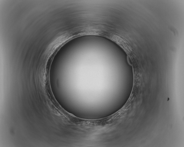 X0000115500338200911061332