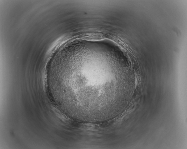 X0000115500339200911061332