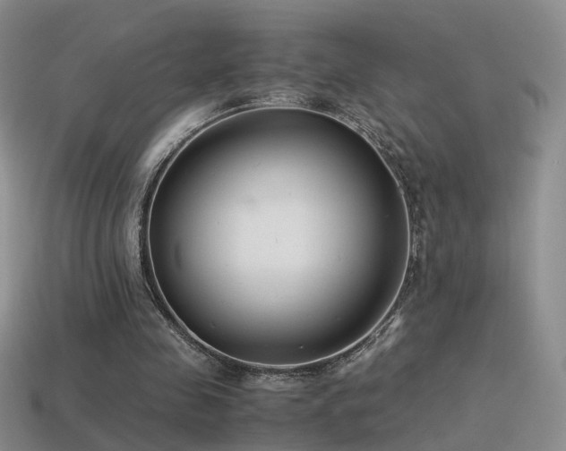 X0000115500341200911061332