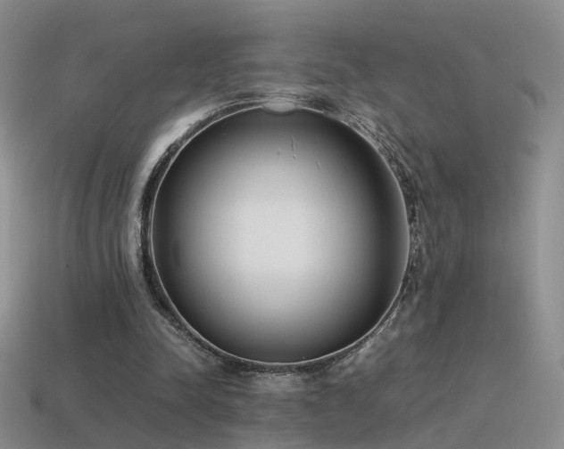 X0000115500342200911061332
