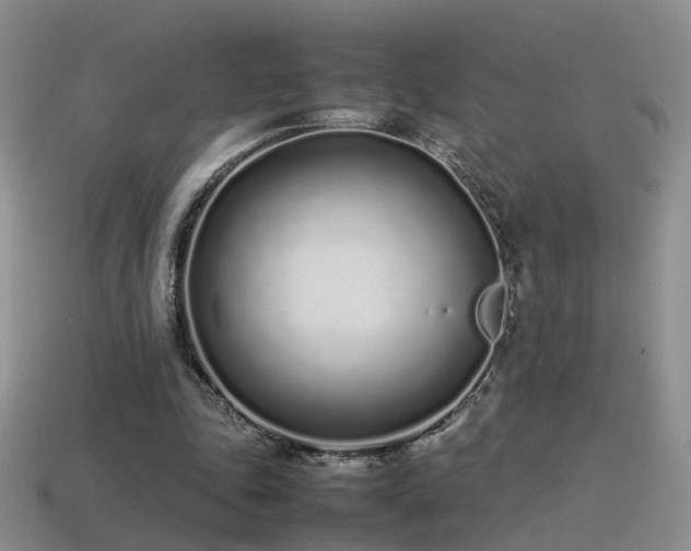 X0000115500343200911061332