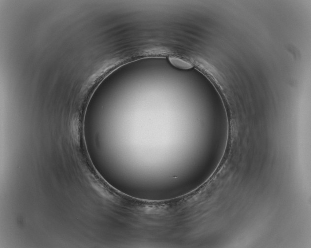 X0000115500345200911061332