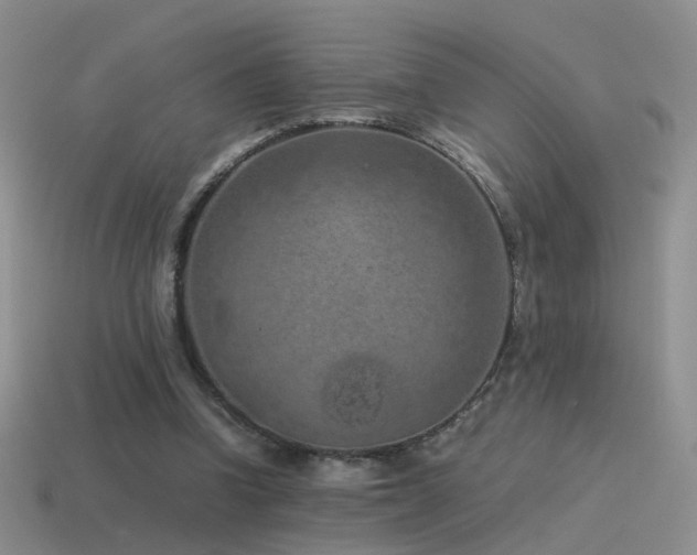 X0000115500346200911061332