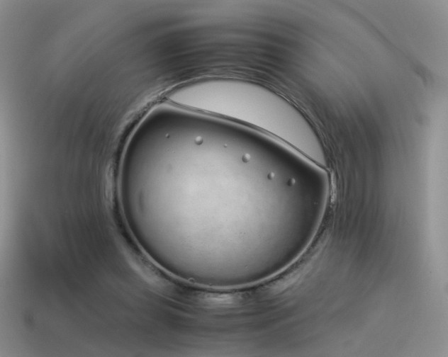 X0000115500349200911061332