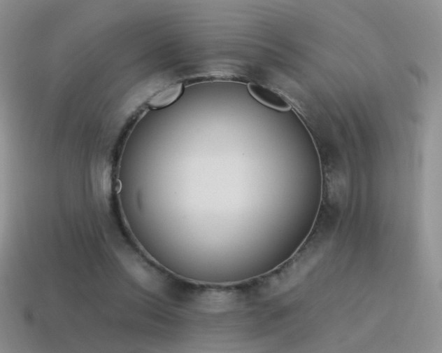 X0000115500350200911061332