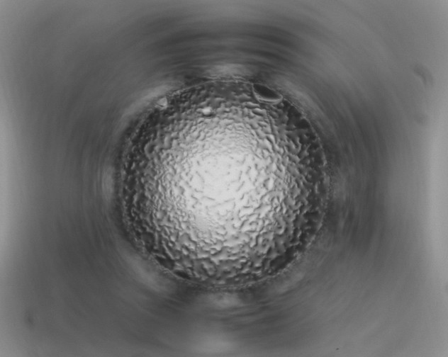X0000115500353200911061332
