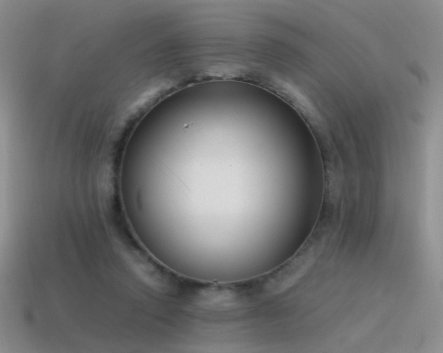 X0000115500354200911061332