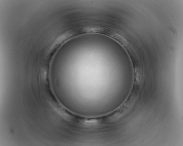 X0000115500357200911061332
