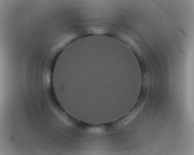 X0000115500358200911061332