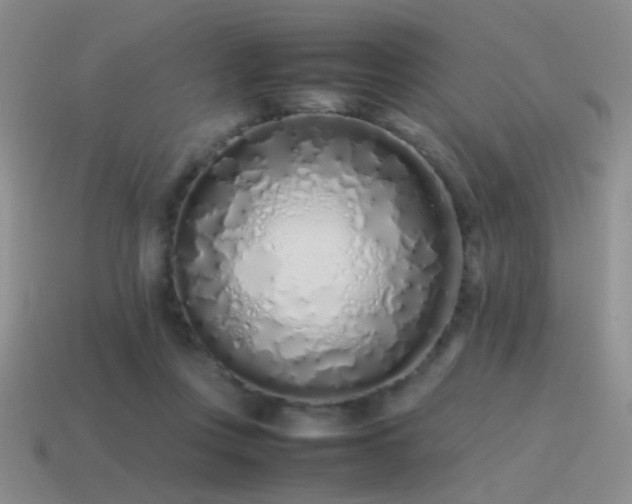 X0000115500359200911061332