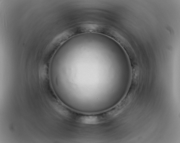 X0000115500361200911061332