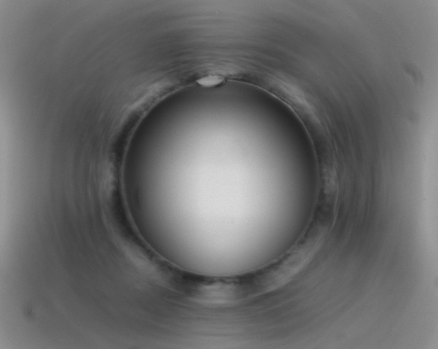 X0000115500362200911061332