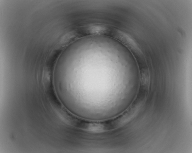 X0000115500363200911061332