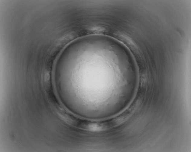 X0000115500365200911061332