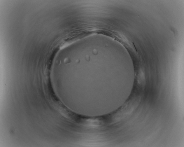 X0000115500366200911061332