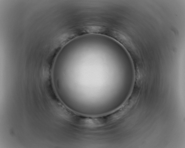 X0000115500367200911061332