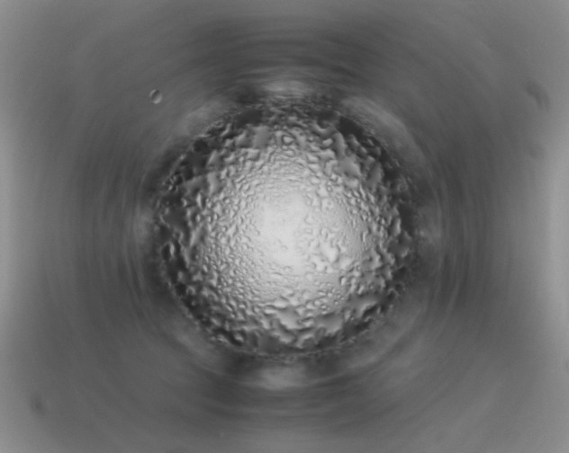X0000115500369200911061332