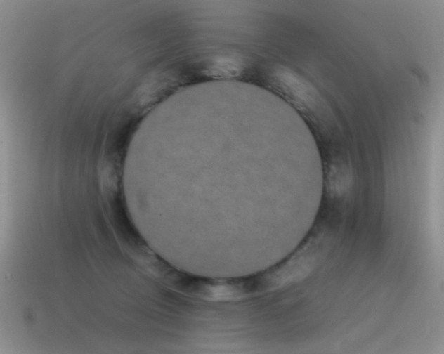 X0000115500370200911061332