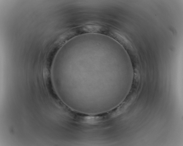 X0000115500371200911061332