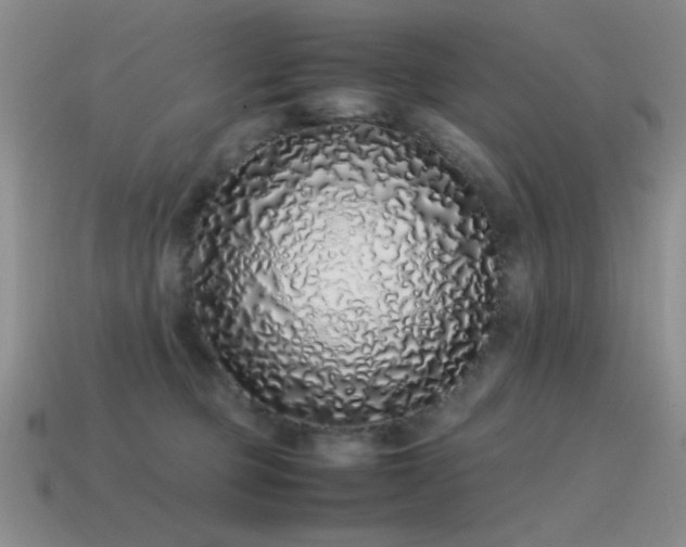 X0000115500373200911061332