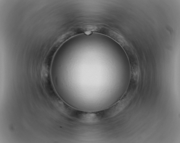 X0000115500374200911061332