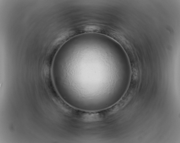 X0000115500375200911061332