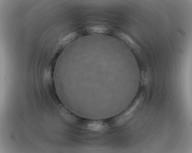 X0000115500377200911061332