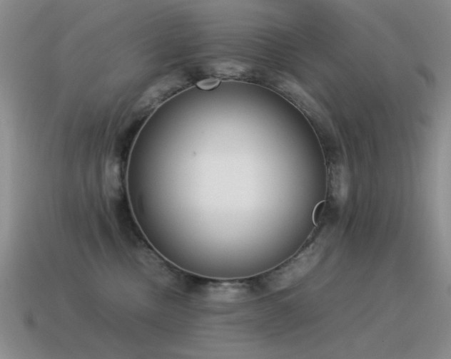 X0000115500378200911061332