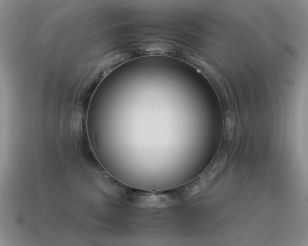 X0000115500379200911061332
