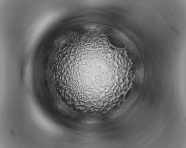 X0000115500381200911061332