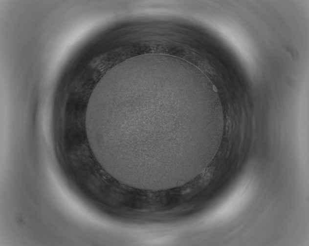 X0000115500383200911061332