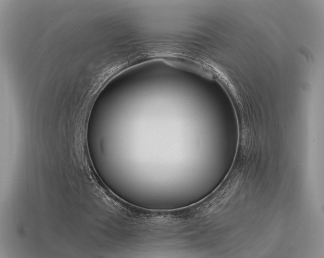 X0000115500385200911061332