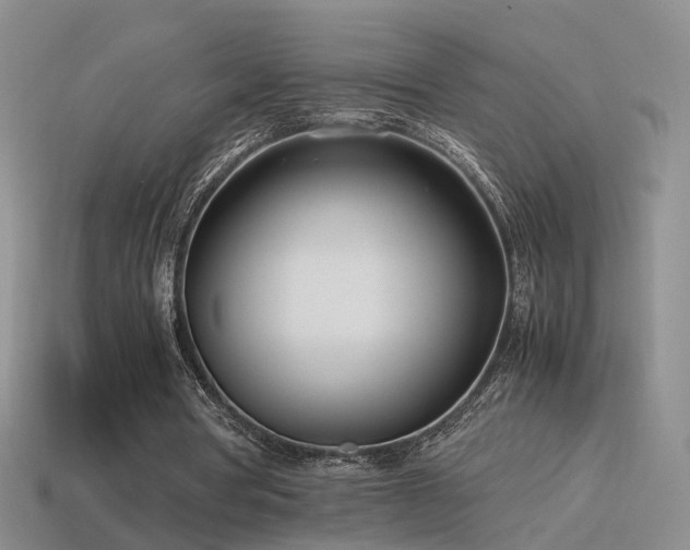 X0000115500386200911061332