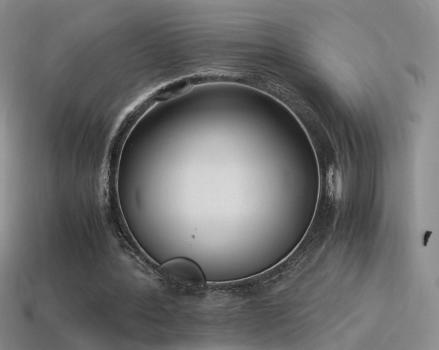 X0000115500388200911061332