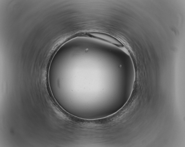 X0000115500389200911061332