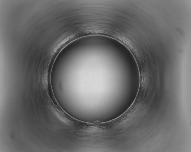 X0000115500390200911061332