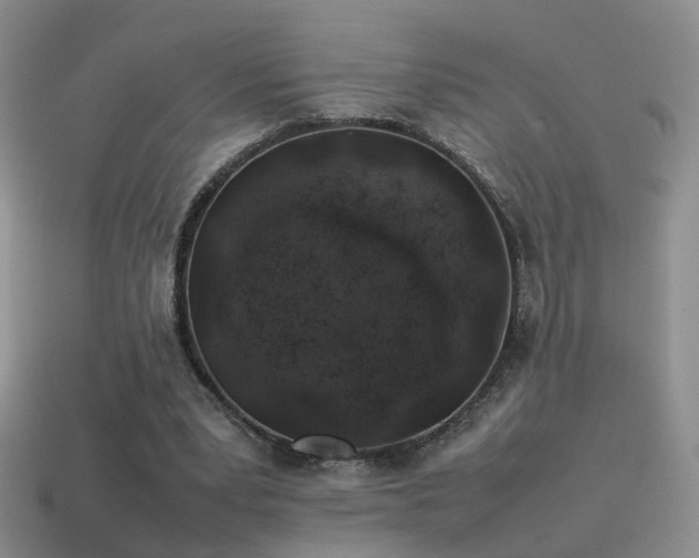 X0000115500391200911061332