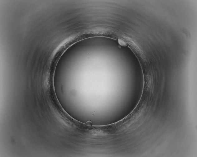 X0000115500392200911061332
