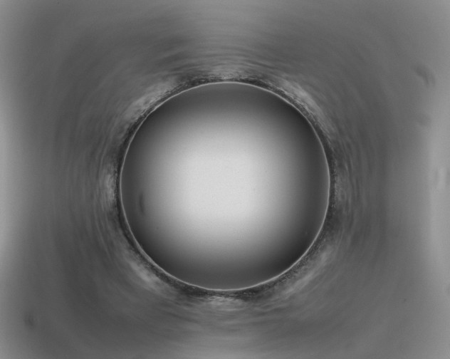 X0000115500393200911061332
