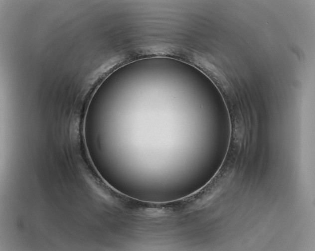 X0000115500394200911061331
