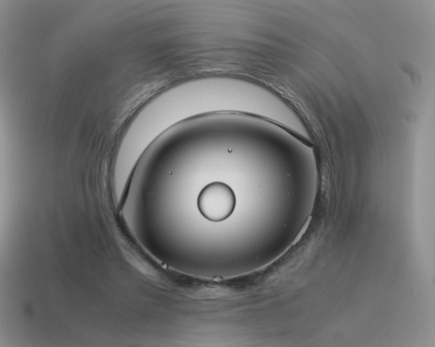 X0000115500397200911061331