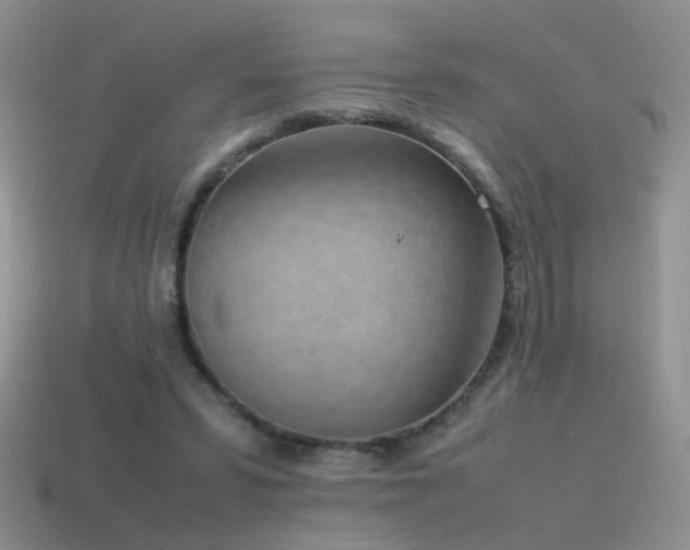 X0000115500399200911061331