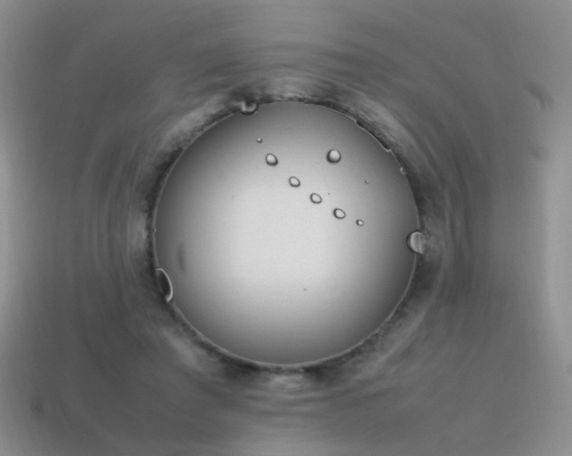 X0000115500401200911061331