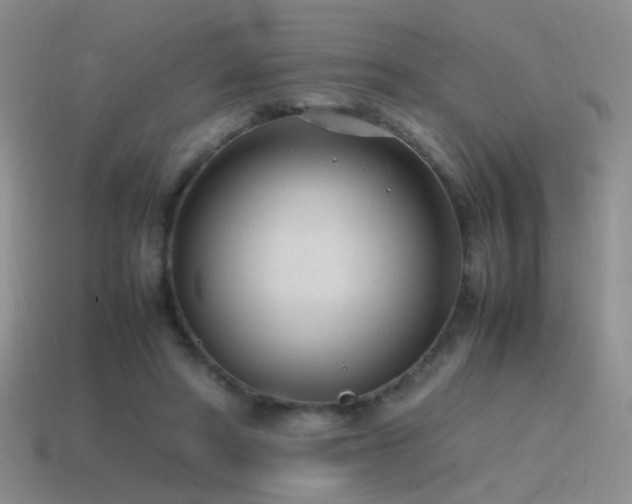 X0000115500402200911061331