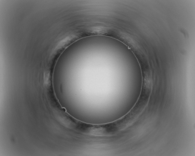 X0000115500403200911061331
