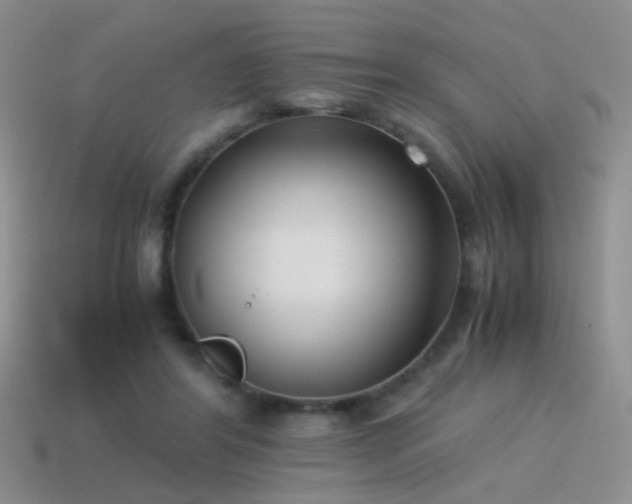 X0000115500404200911061331