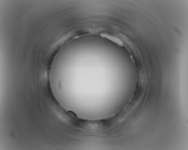 X0000115500405200911061331